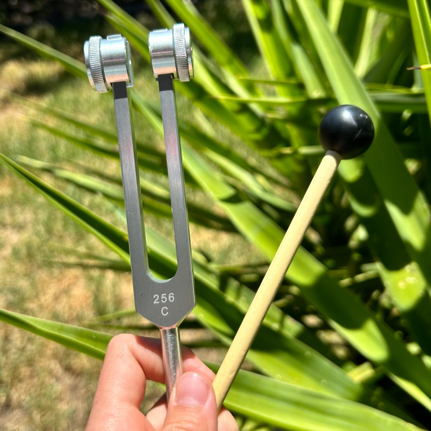 Harmony Tuning Fork Set
